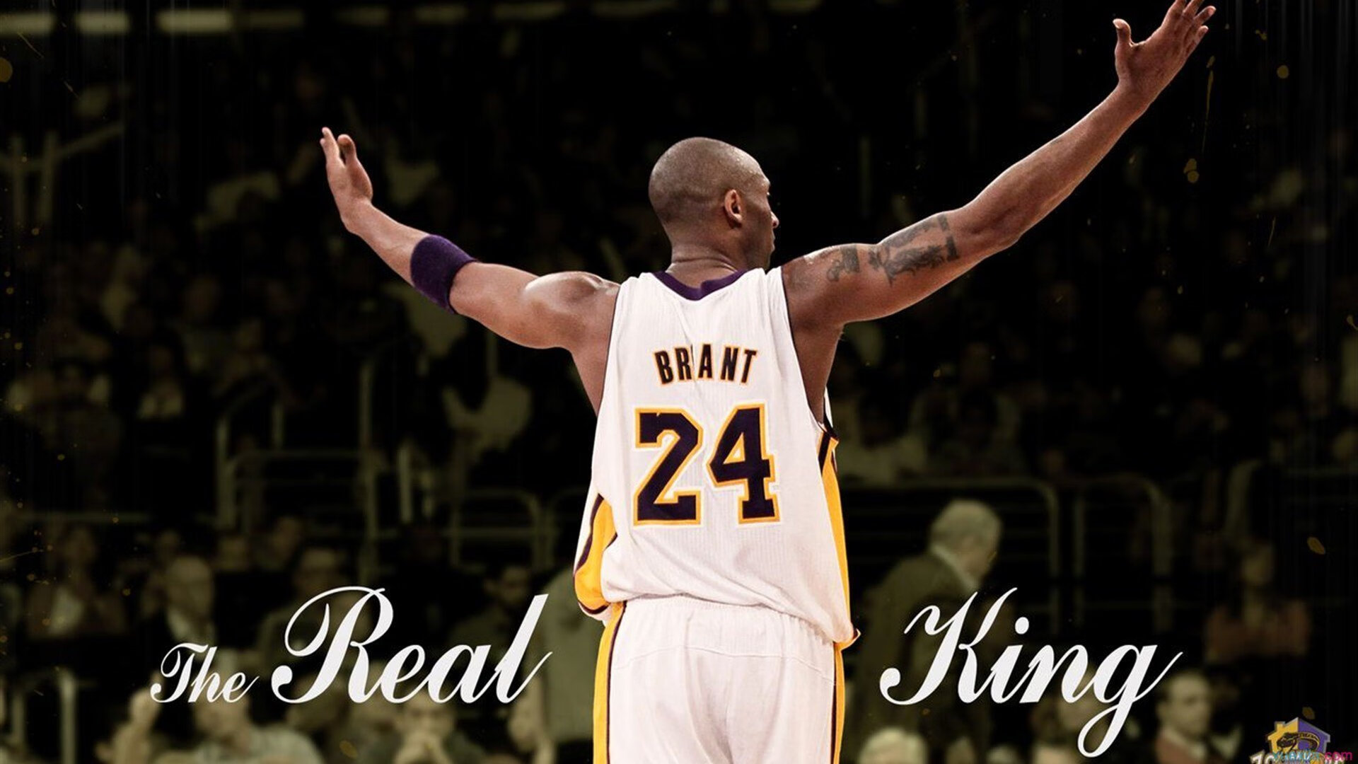 _球迷全场助威：场边欢呼声此起彼伏_，球场球迷喊的什么