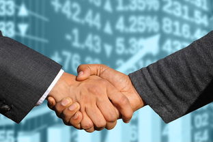 开云官网APP下载-NBA联盟球员劳资协议变化趋势与影响，2017版nba劳资条款